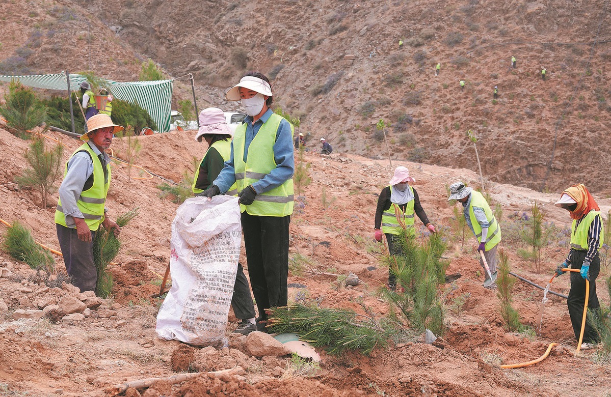 DAL TIBET, ALTRI DUE SUCCESSI GREEN, Mirabile Tibet