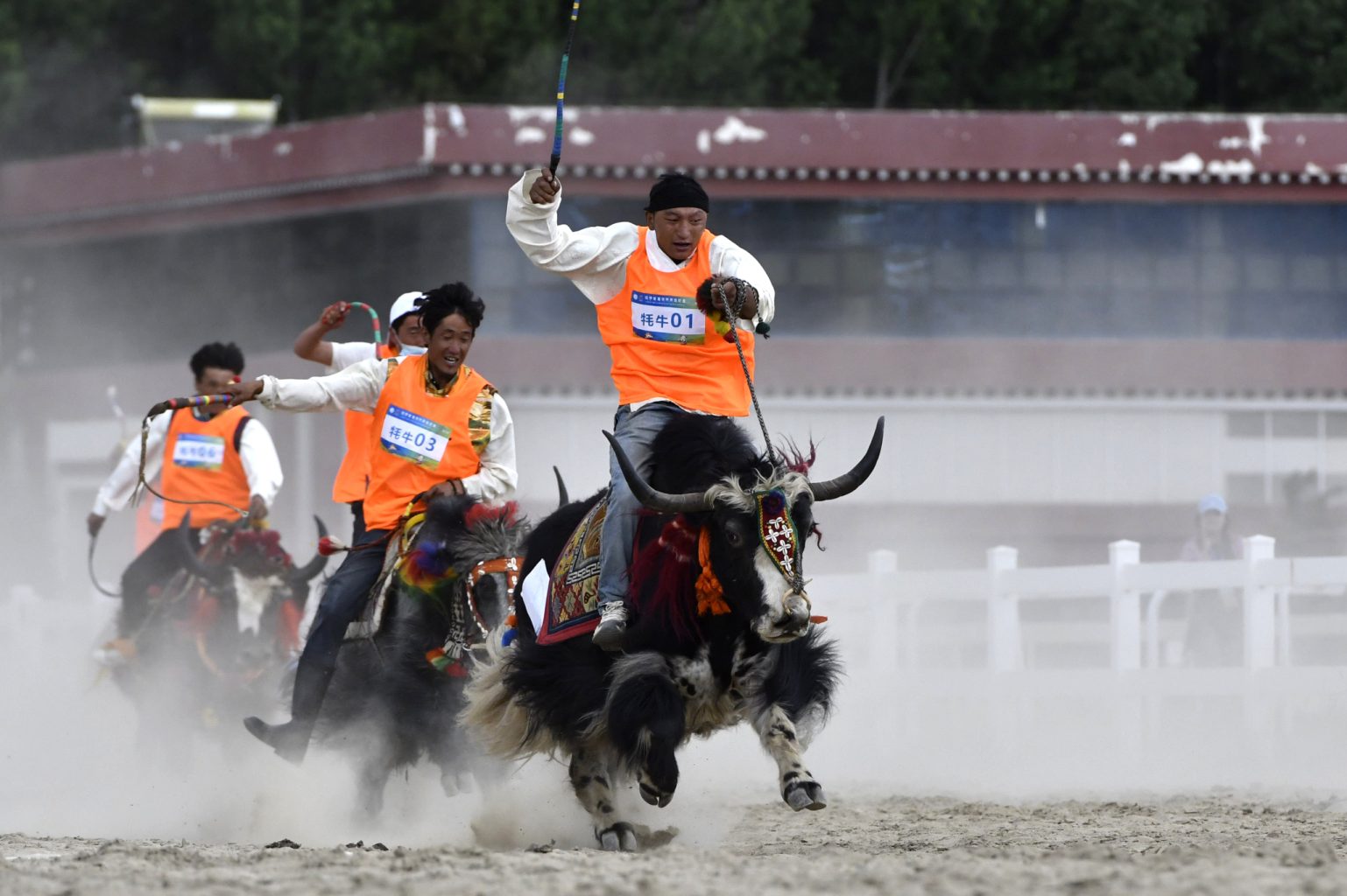 PRIMA EDIZIONE A LHASA DEI GIOCHI CONTADINI E PASTORALI, Mirabile Tibet