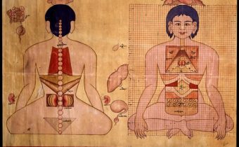 MEDICINA TRADIZIONALE TIBETANA: LA RICERCA CONTINUA, Mirabile Tibet