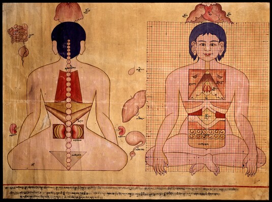 MEDICINA TRADIZIONALE TIBETANA: LA RICERCA CONTINUA, Mirabile Tibet