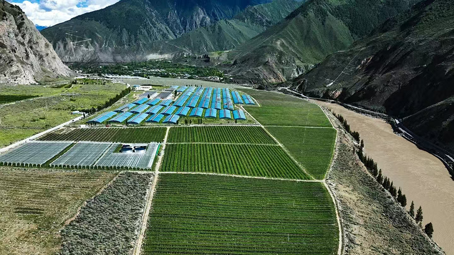 LA VALLE DEL YARLUNG RITORNA FERTILE, Mirabile Tibet